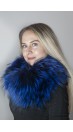 Electric blue Finnraccoon  fur neck warmer